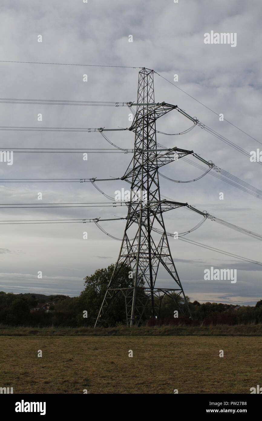 Electricity pylons Stock Photo