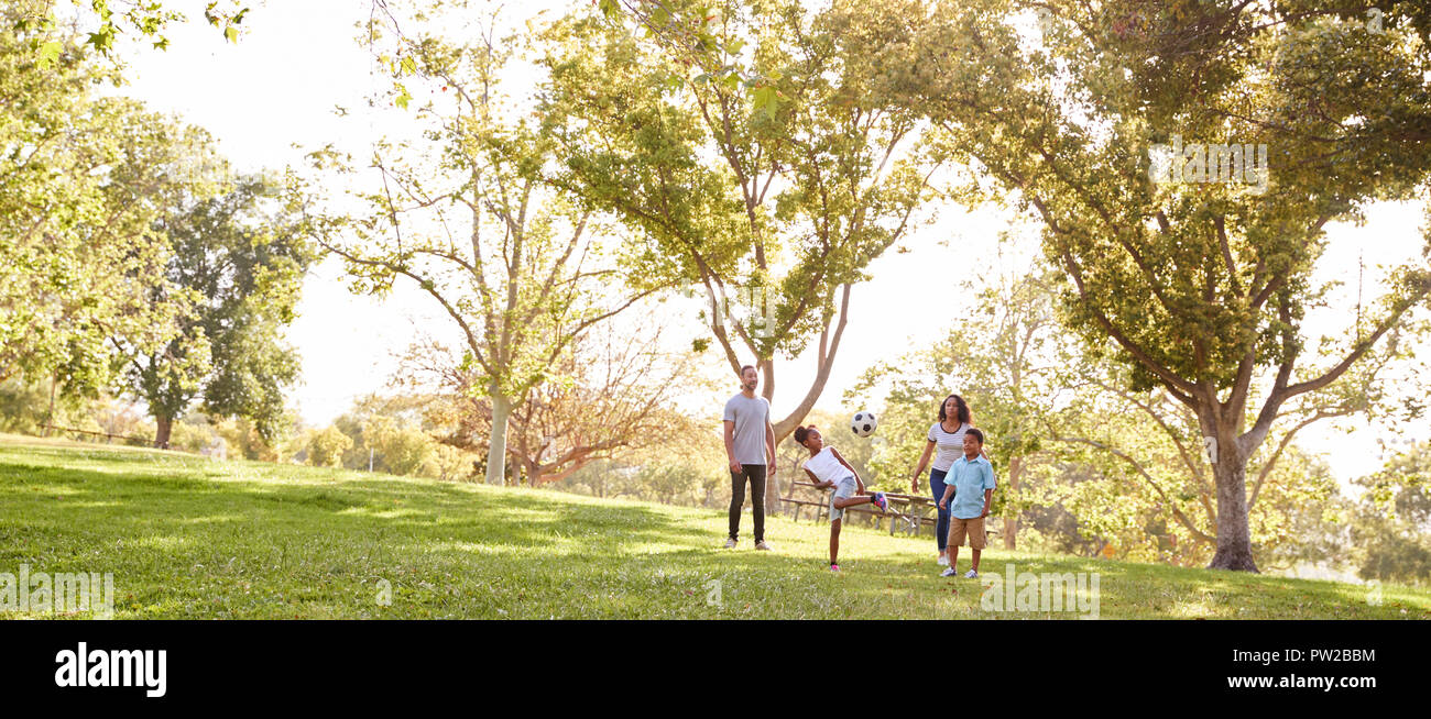 Family Playing Soccer In Park Together Stock Photo - Alamy