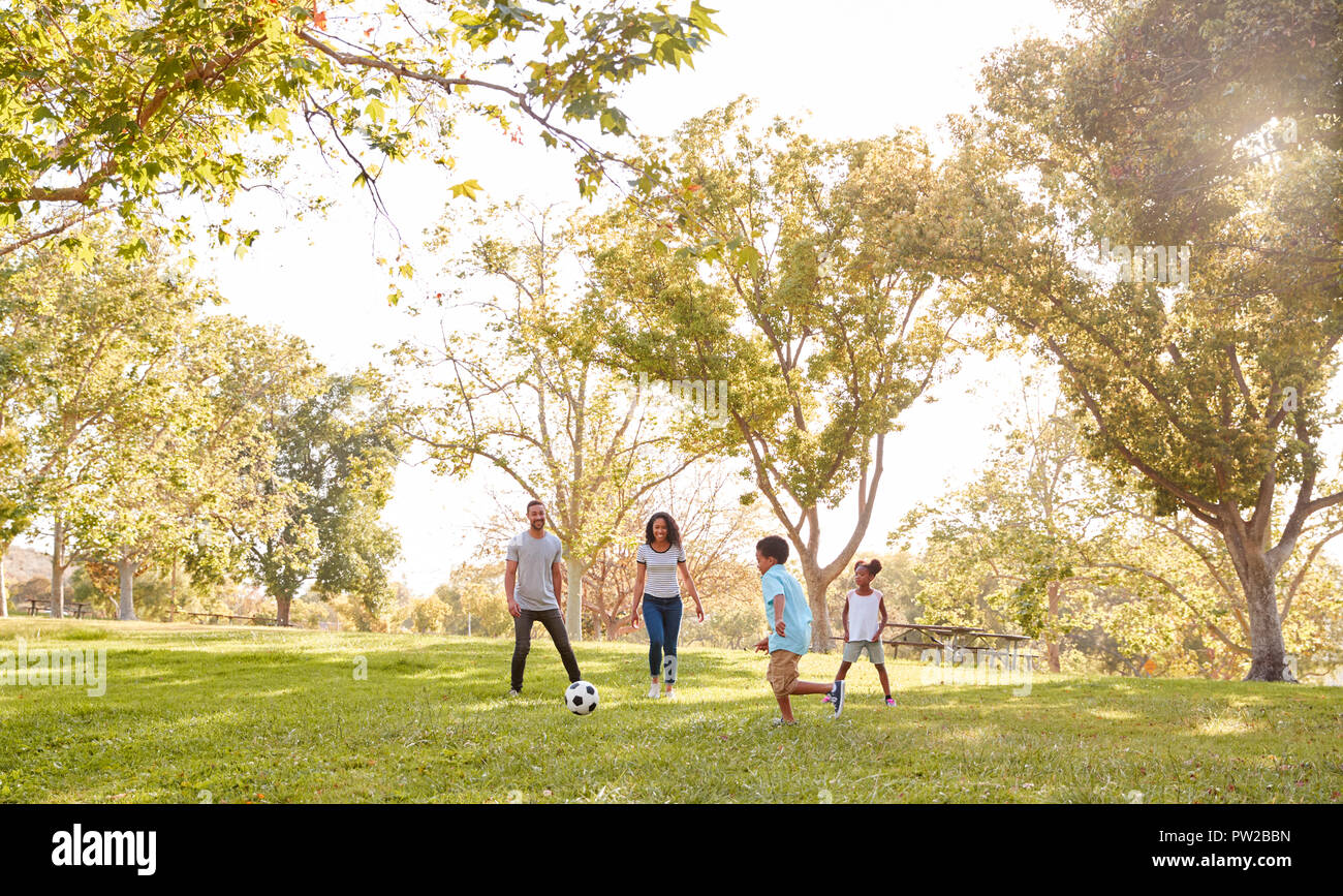 Family Playing Soccer In Park Together Stock Photo - Alamy