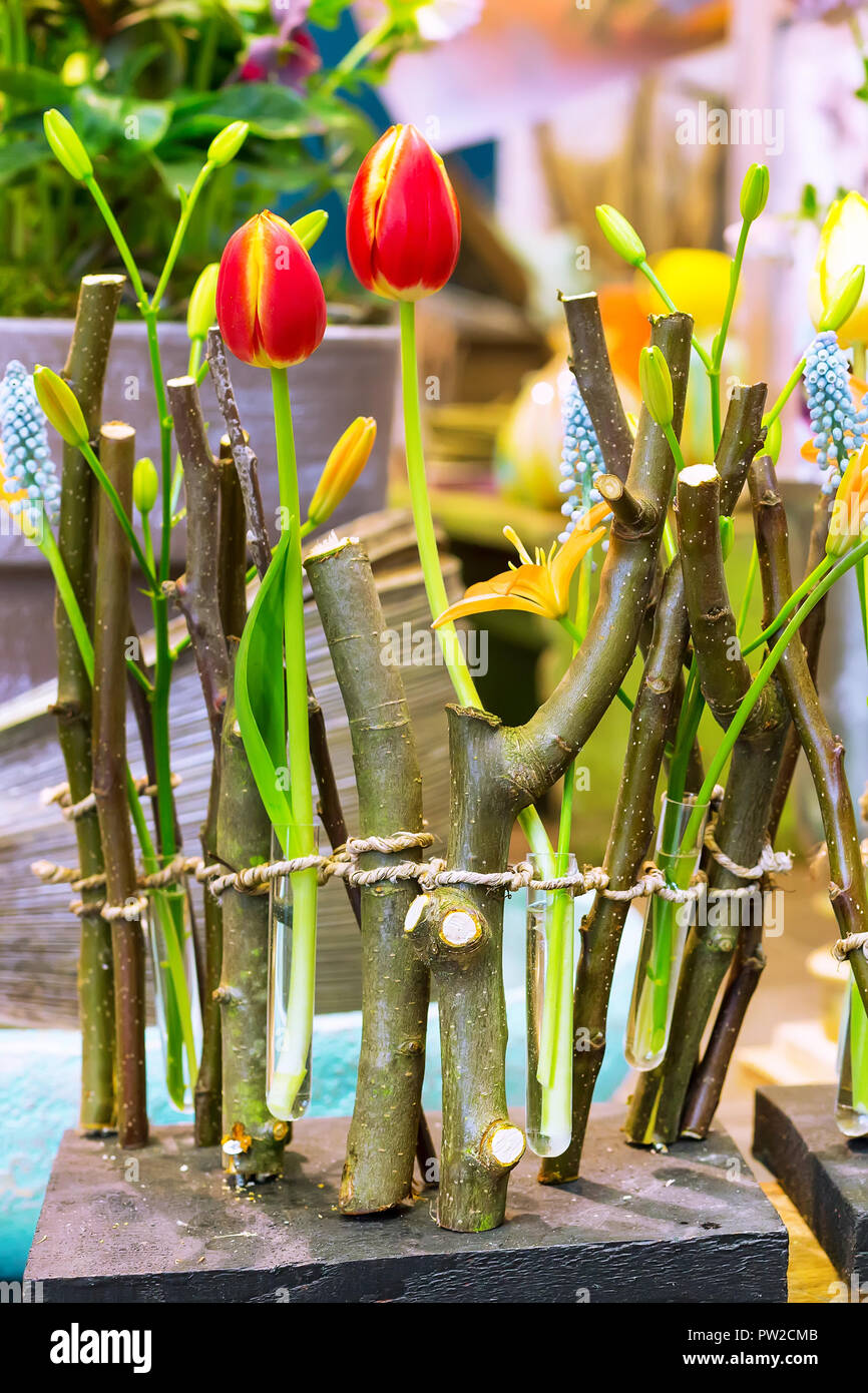 Red tulips and tree branches home flower decoration composition close-up Stock Photo