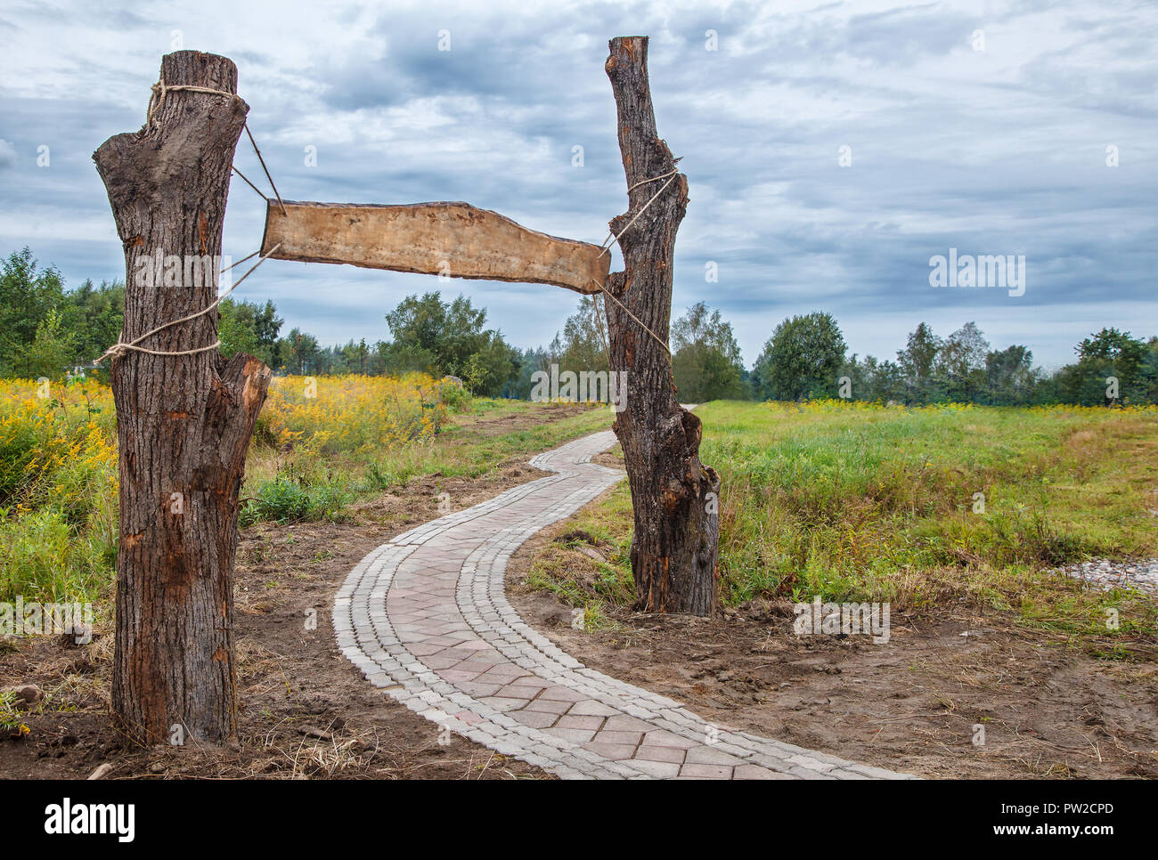 Качели на дереве. Два дерева рядом. Фон дерево. Несколько деревьев. Качели на дереве.
