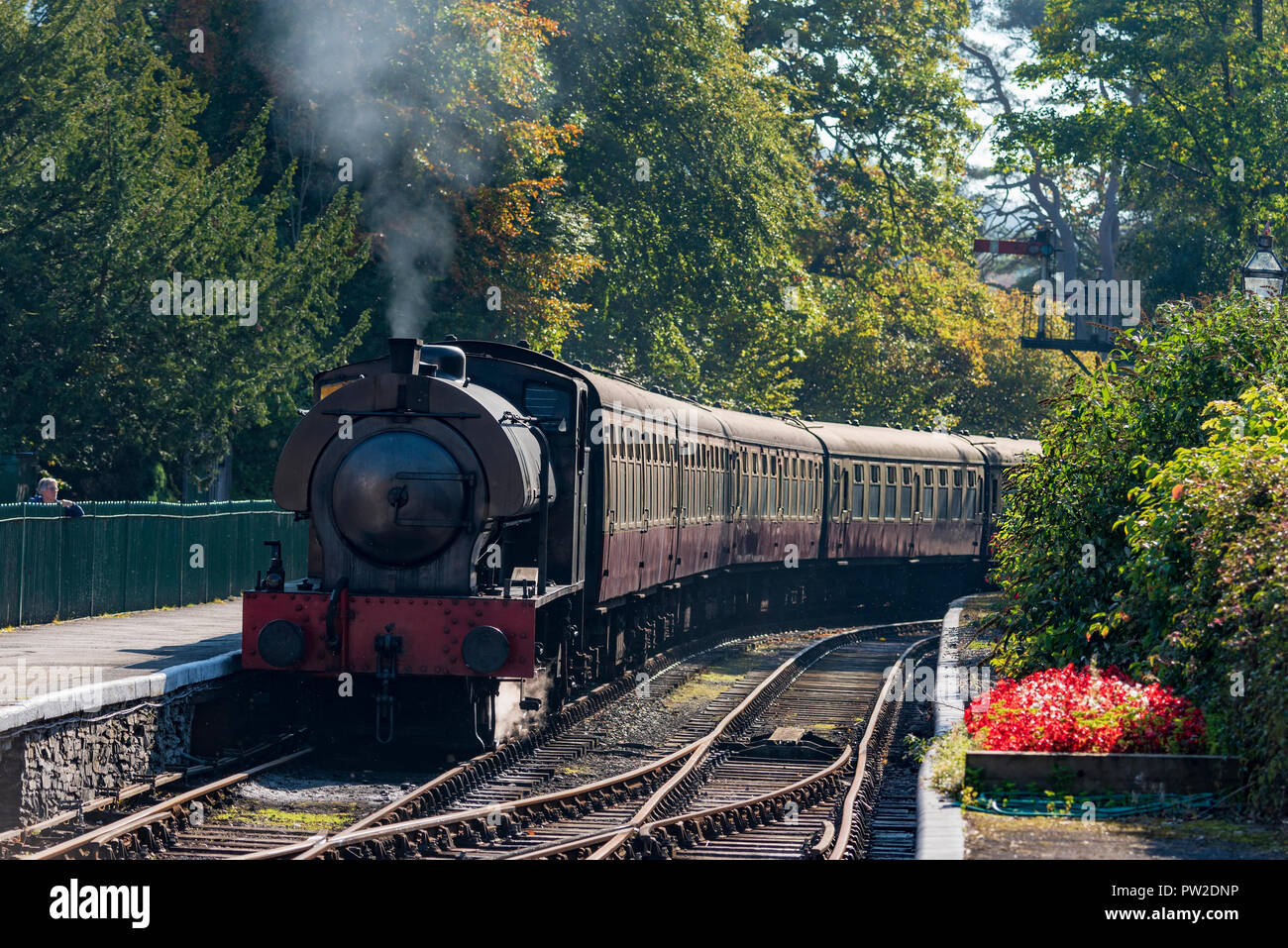 A steam train arrives at Lakeside station on the Lakeside and Haverthwaite railway in the Lake District. Windermere Stock Photo