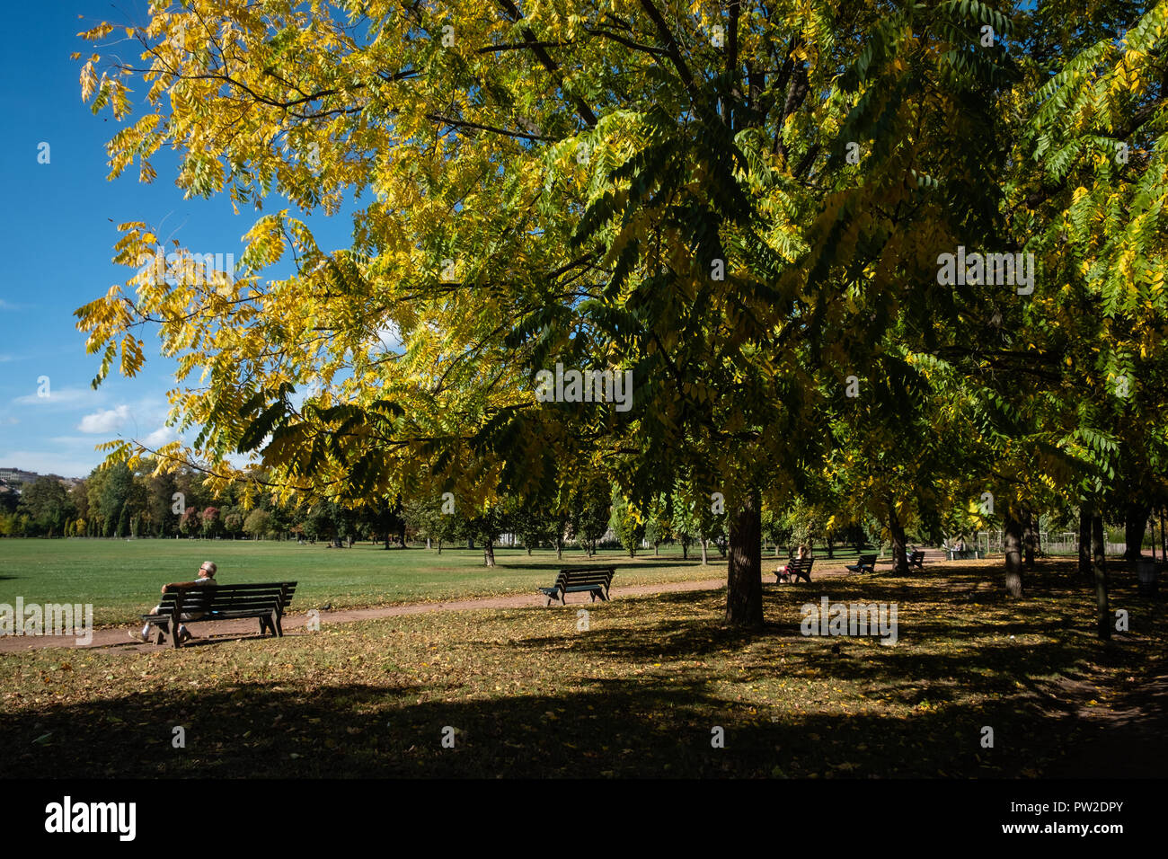 Autumn in the park. A man takes the sun sitting on a bench under trees with yellow leaves Stock Photo