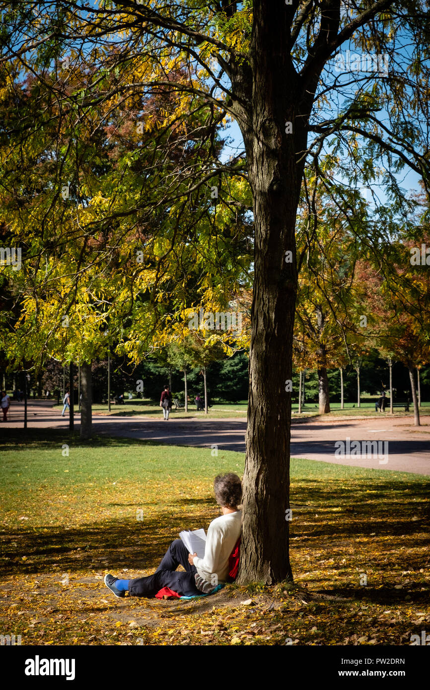 Autumn in the park. A woman reads sitting at the foot of a tree with yellow leaves Stock Photo