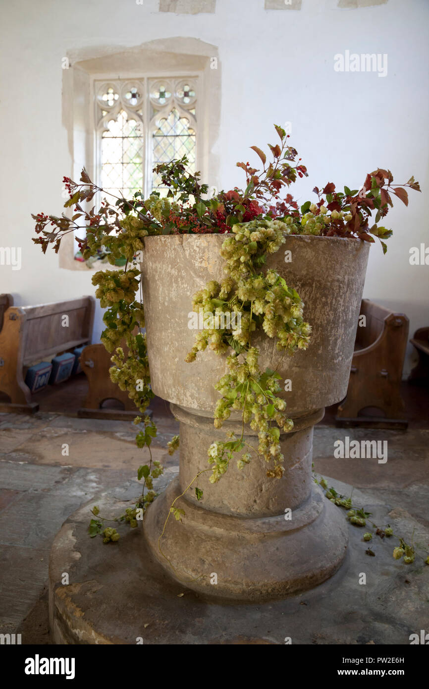 Kelmscott church font decorated with hops for the Harvest Festival Stock Photo