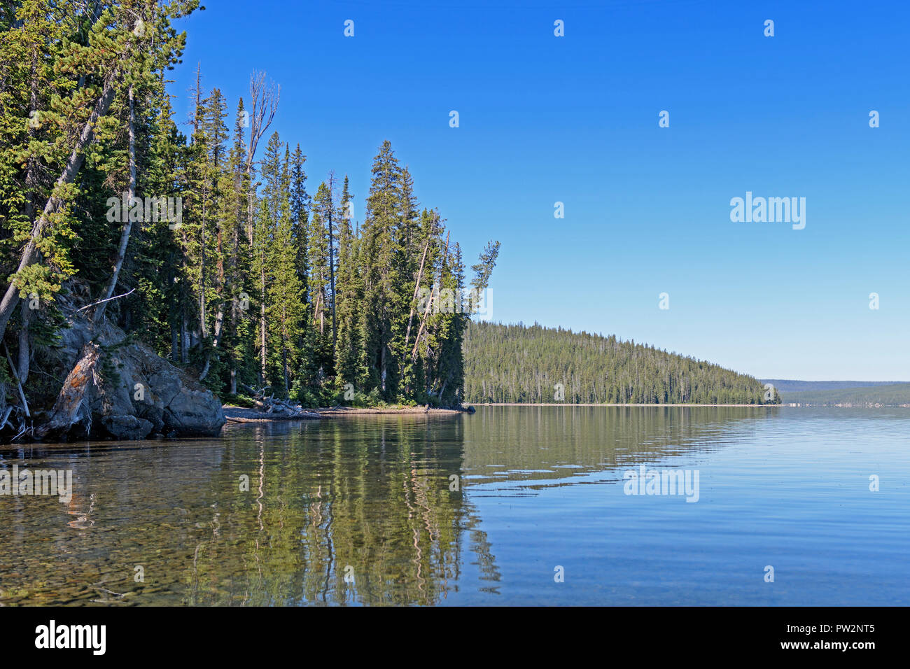 Quiet Lake in the Mountains on Shoshone Lake in Yellowstone National Park in Wyoming Stock Photo