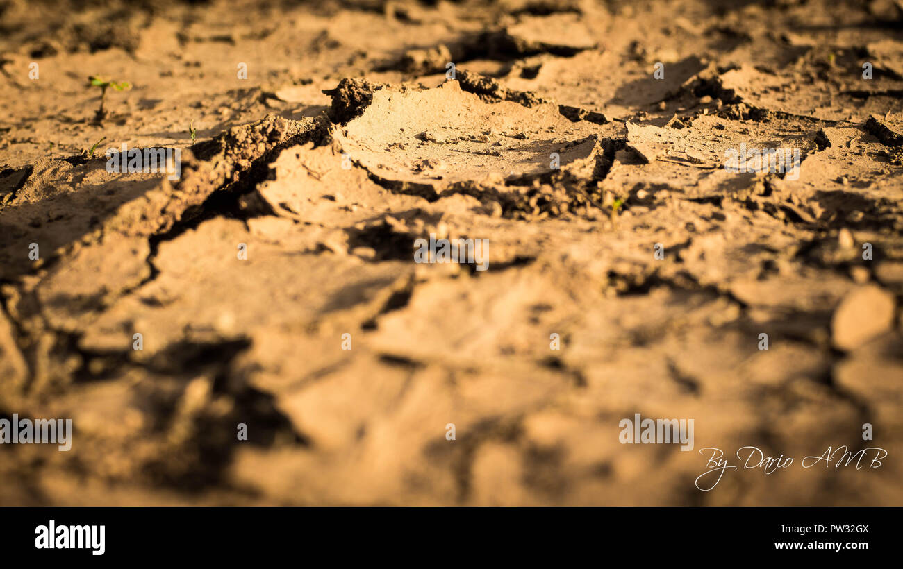 Tierra seca y agrietada Stock Photo