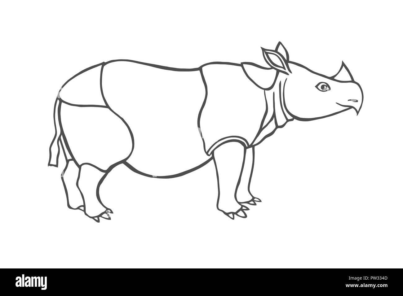 Rino is powerful huge herbivorous mammal with thick skin living in Africa and Asia. Vector monochrome freehand ink drawn background sketchy in art scr Stock Vector