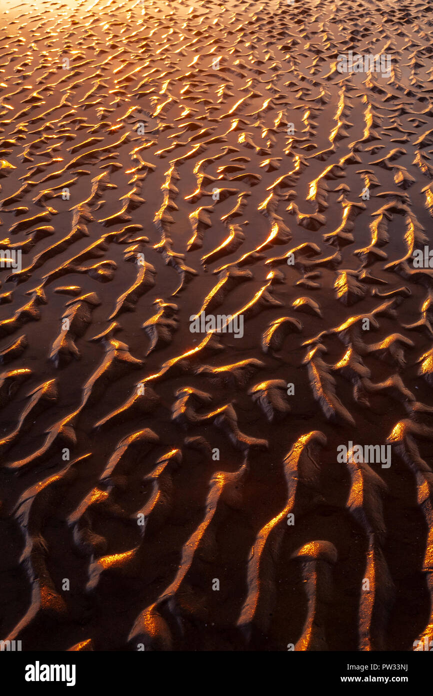 Ripples in the wet sand on Talacre beach, North Wales coast at sunset Stock Photo