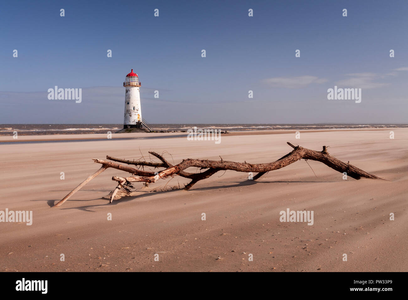 Point of Ayr lighthouse on Talacre beach, North Wales coast with a washed up tree branch Stock Photo