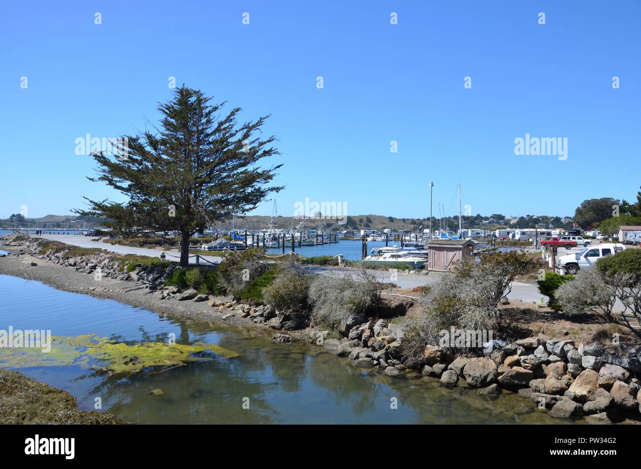 Bodega bay the birds hitchcock hires stock photography and images Alamy