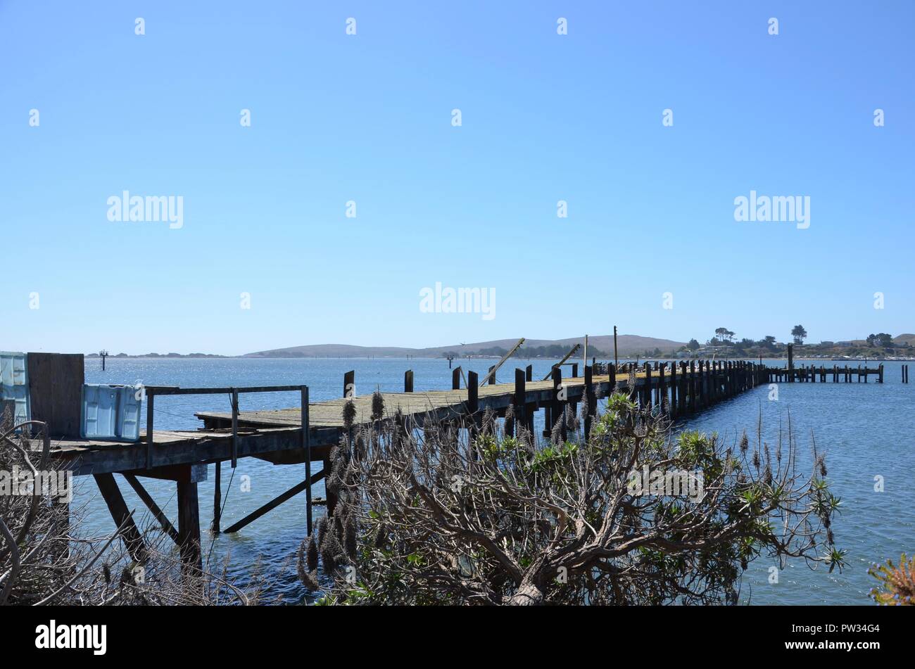 Bodega bay hitchcock hires stock photography and images Alamy