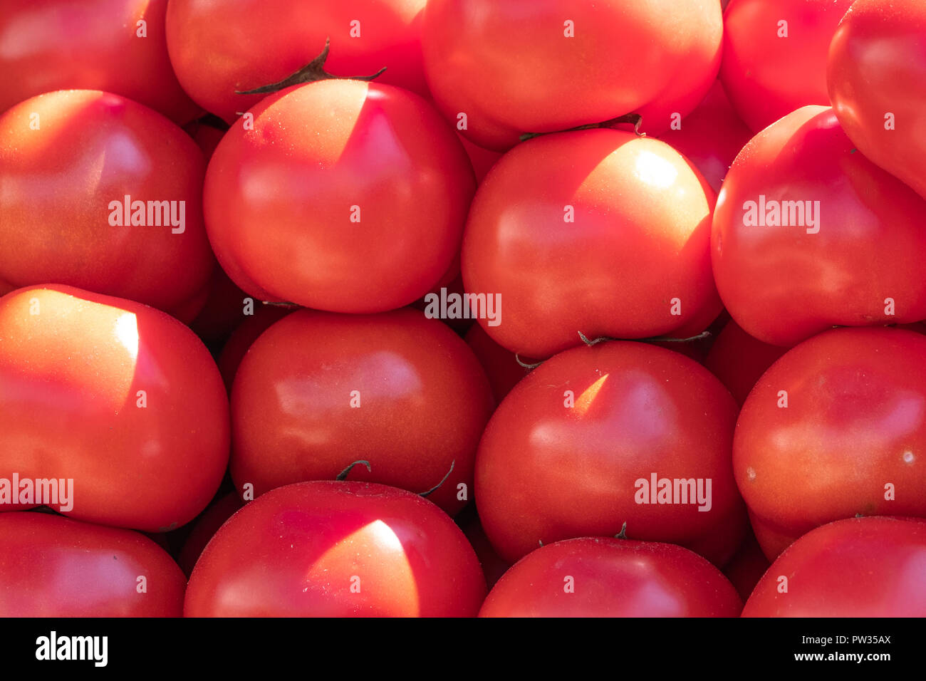 In the photo, the background of red tomatoes that lie on top of each other Stock Photo