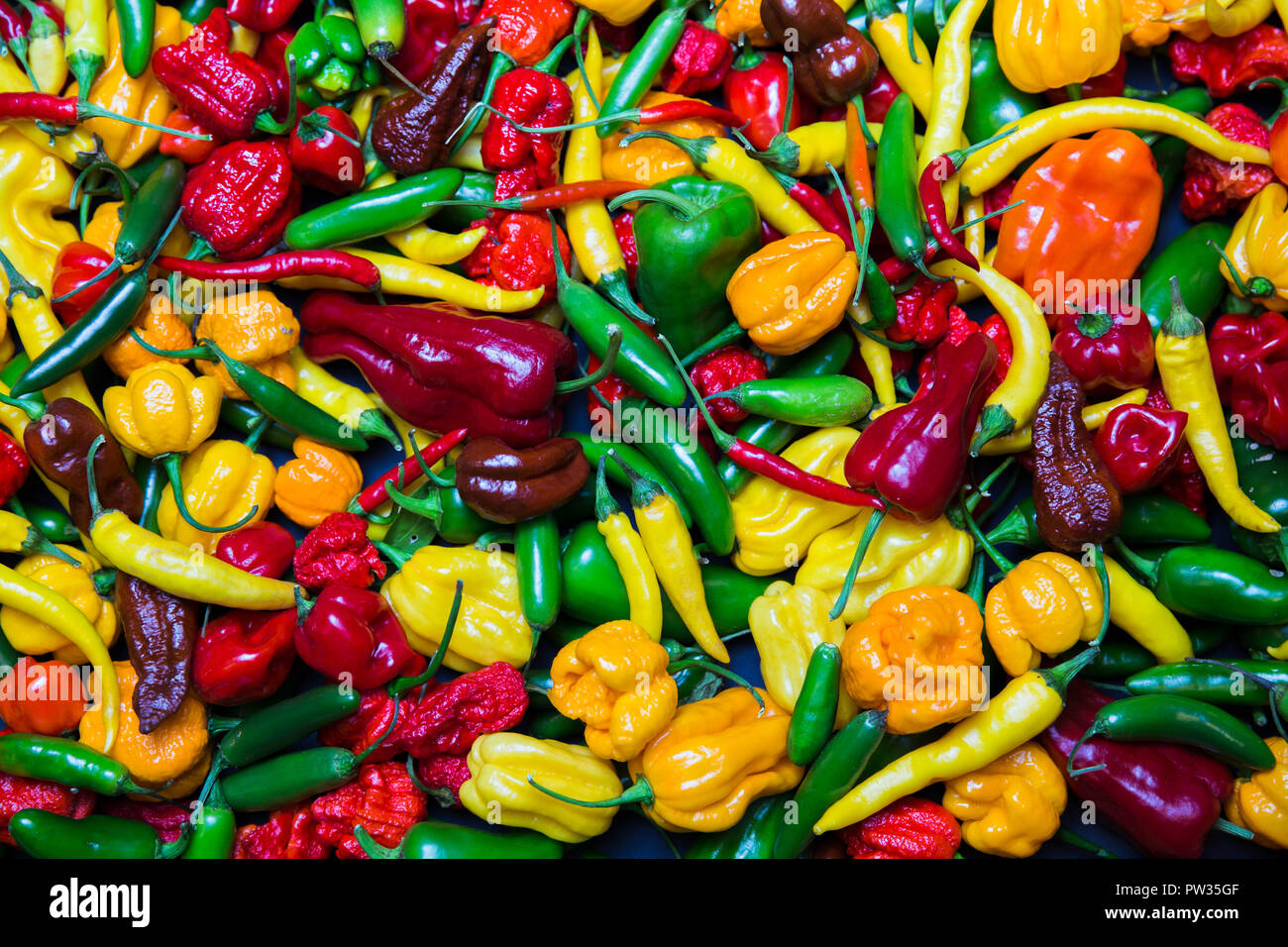 City Riga, Latvia. Many different chili, color art and game. Many