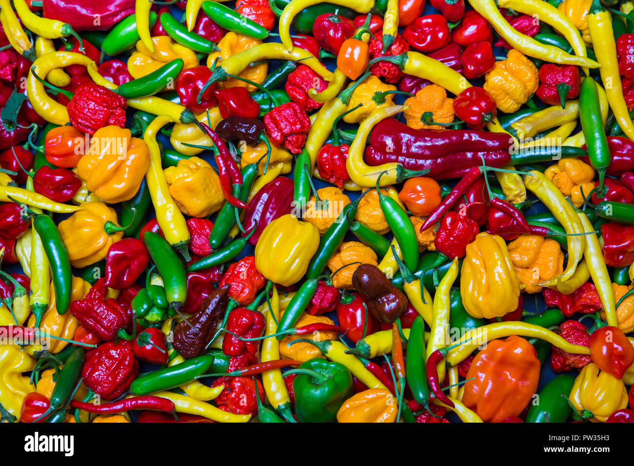 City Riga, Latvia. Many different chili, color art and game. Many ...