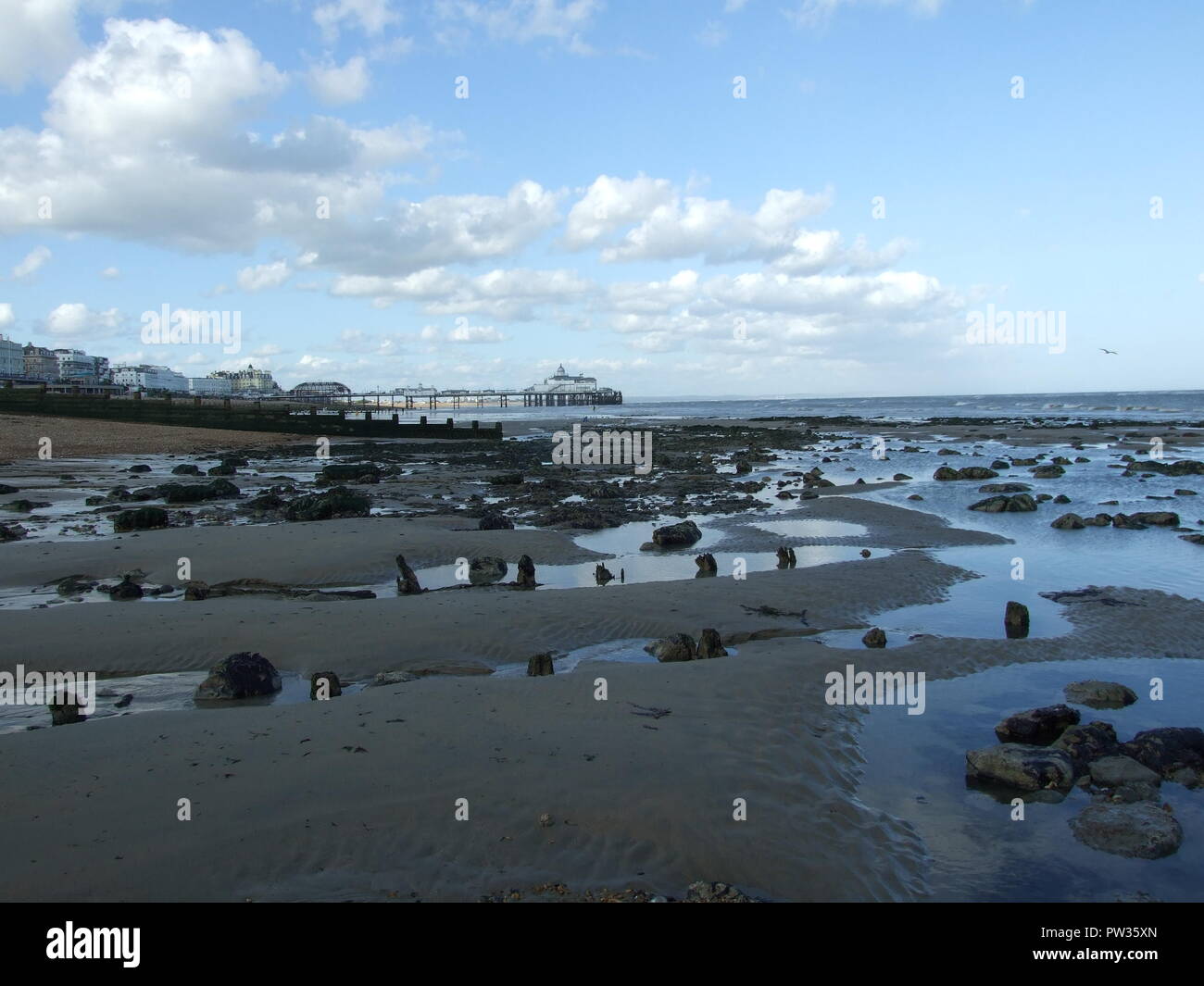 Eastbourne beach with pier in the distance Stock Photo Alamy
