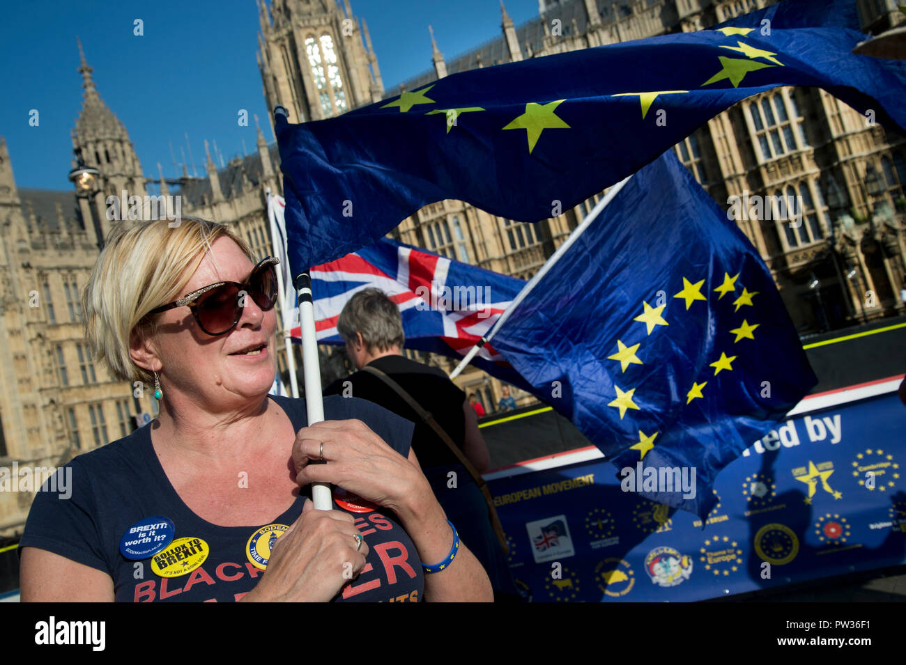 London. Houses of Parliament. Brexit protest Stock Photo