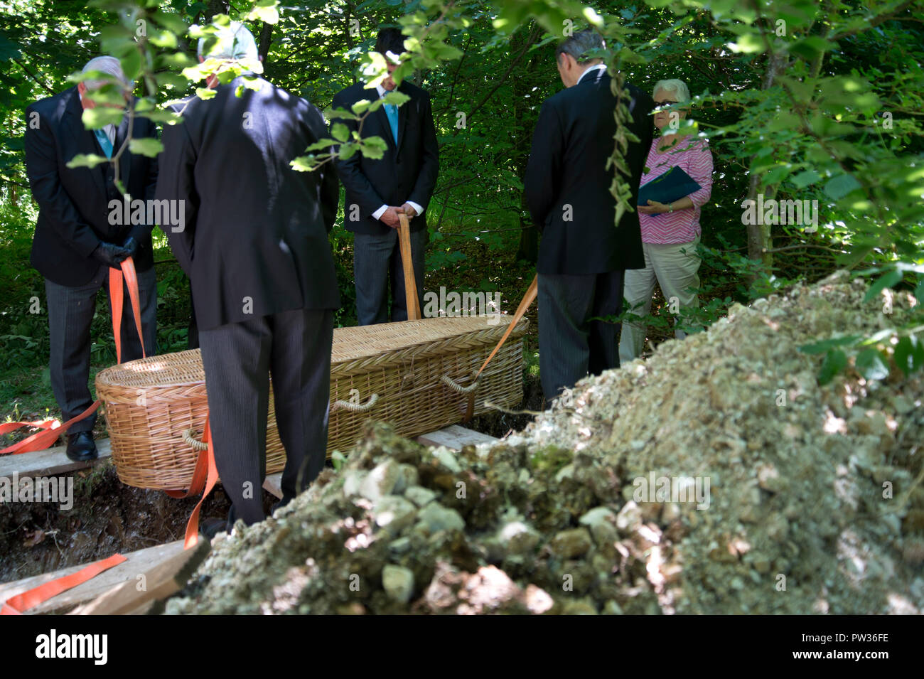 Green  funeral, Sheepgrove organic farm, Lambourn, Berks. Wicker coffin being lowered into the grave Stock Photo