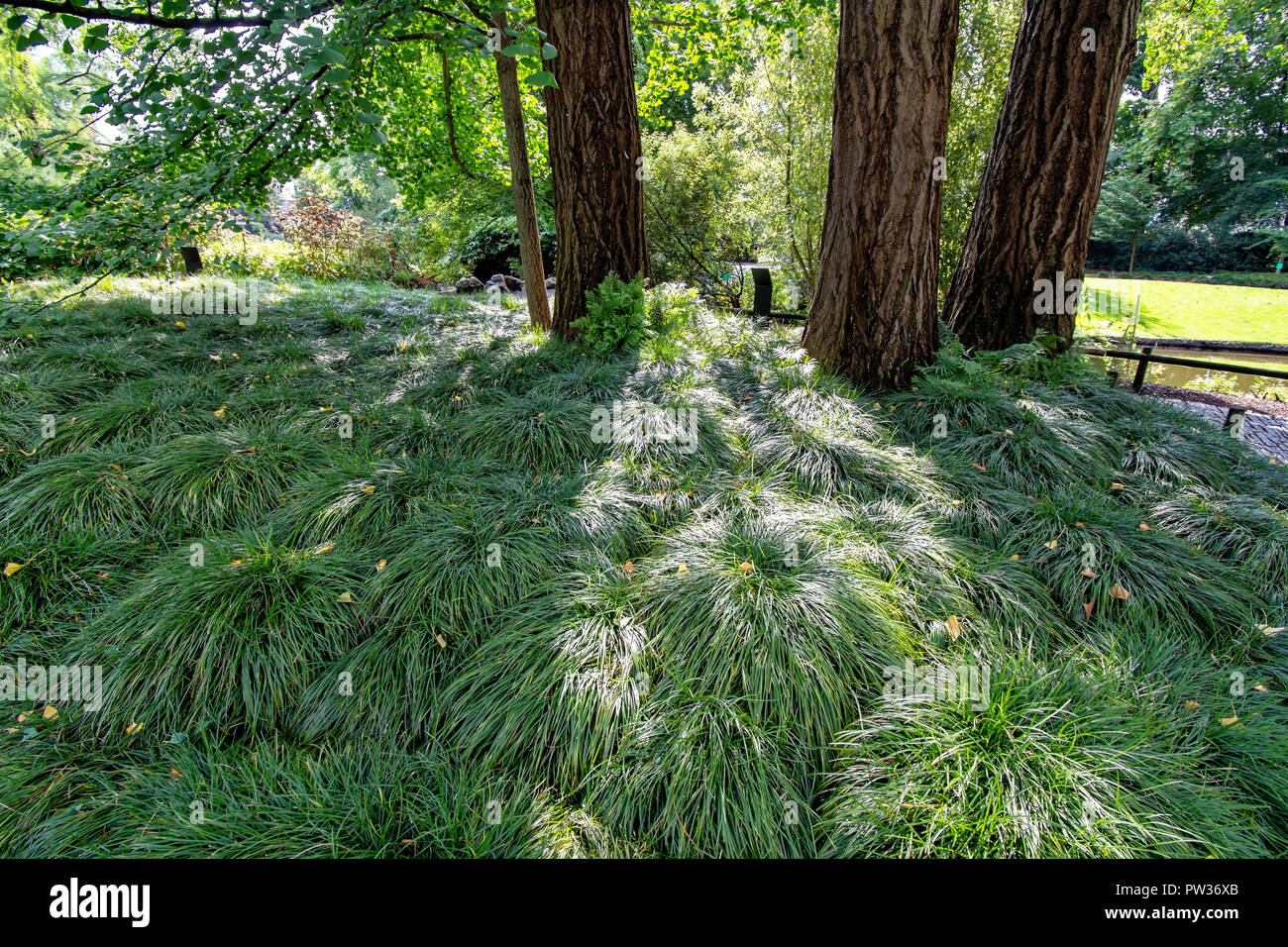 Beautiful plants in the garden of plants in Nantes France Stock Photo