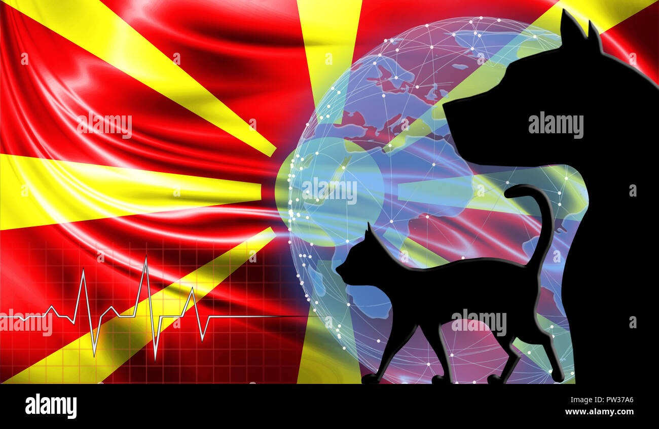 Black cat and dog on the background of the flag of Macedonia. Emergency help for pets. Vet