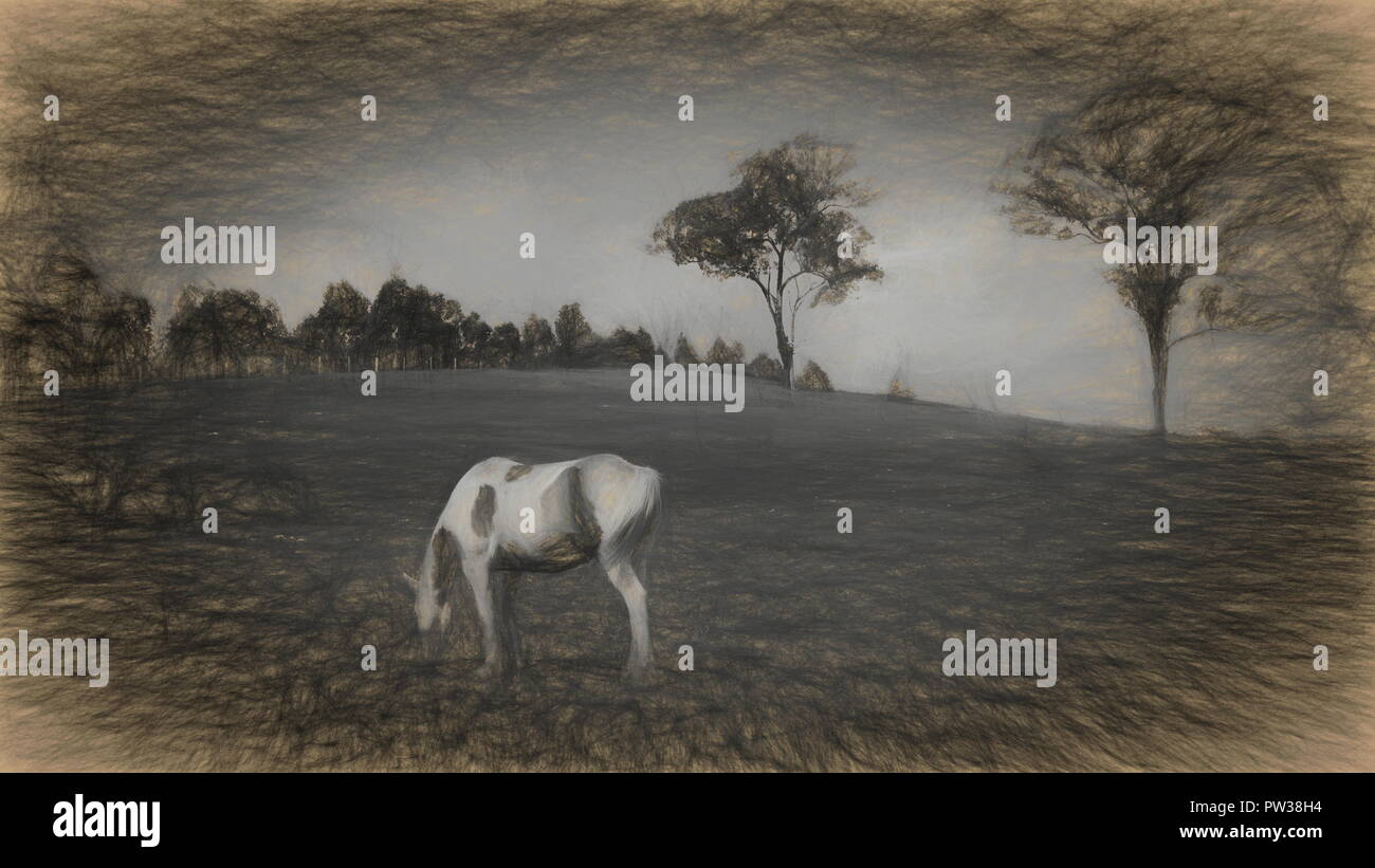 Arty print og Horse in field Stock Photo