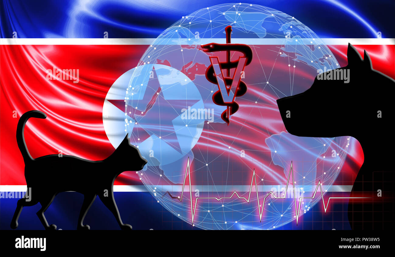 north vet clinic