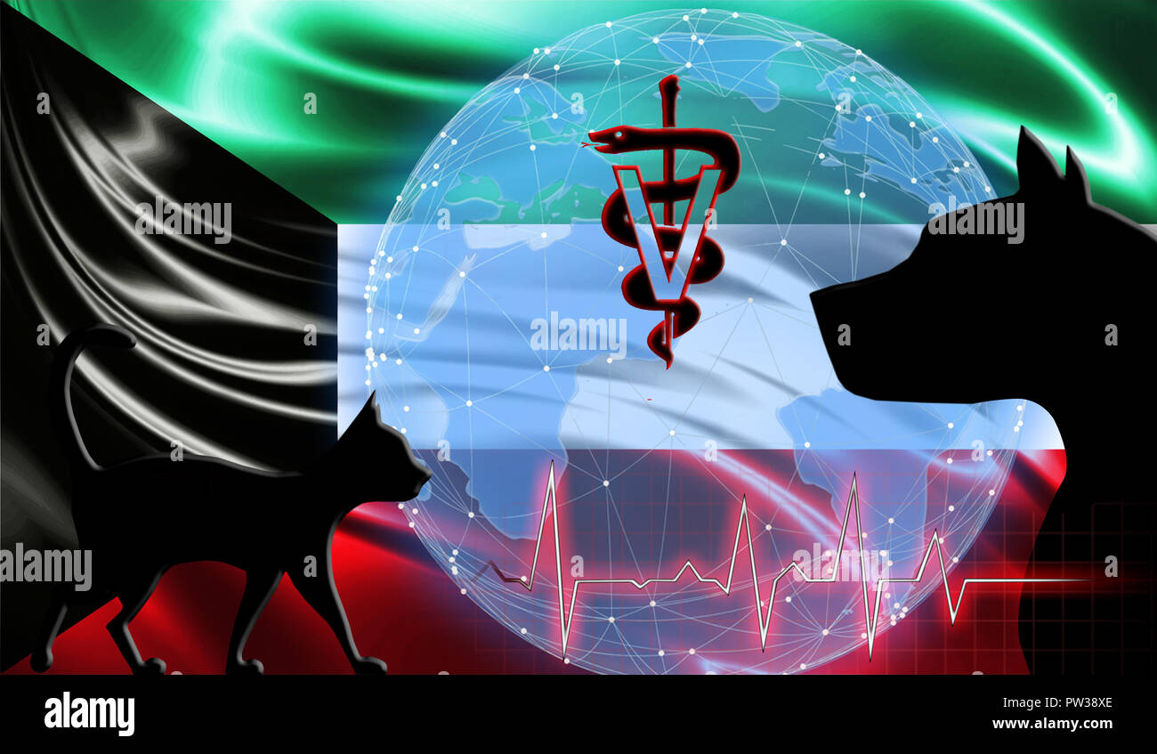 Black cat and dog on the background of the flag of Kuwait. Emergency