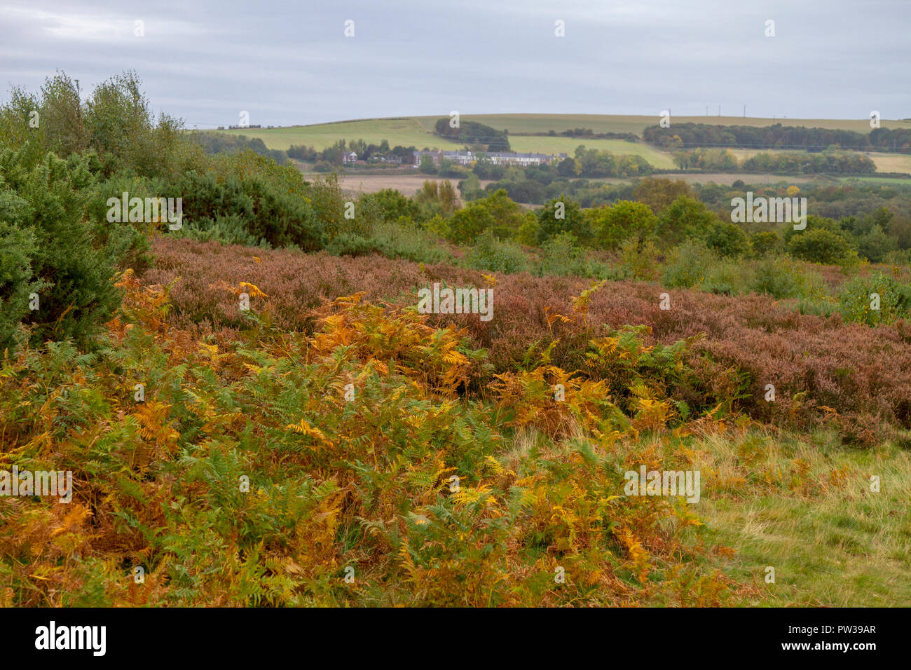 Autumnal colours on Waldridge Fell Stock Photo
