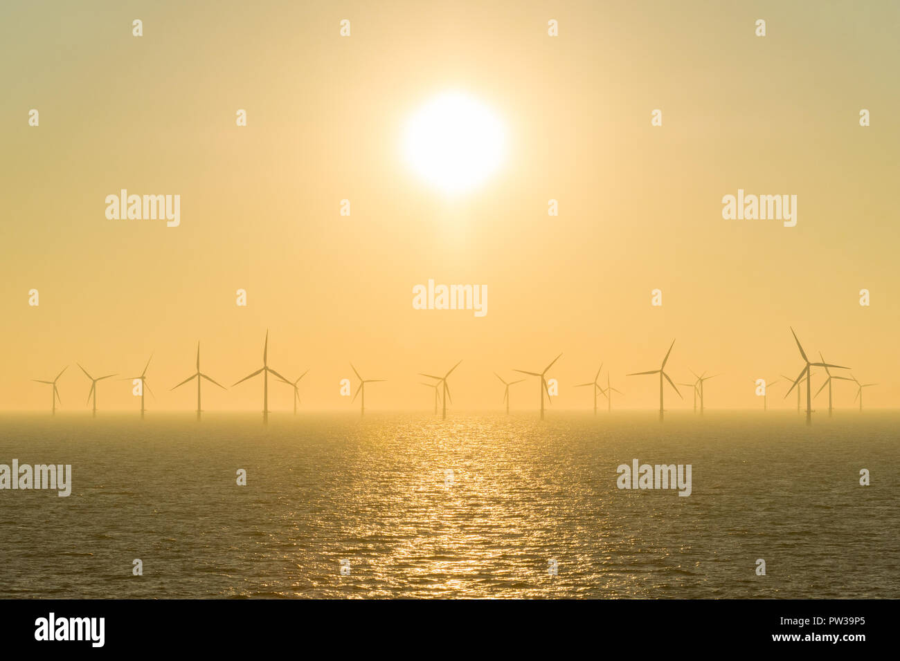 offshore wind turbines at sunset Stock Photo