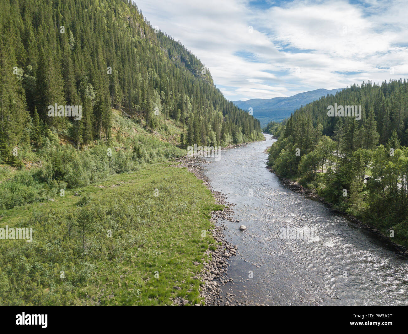 River in forest Stock Photo Alamy