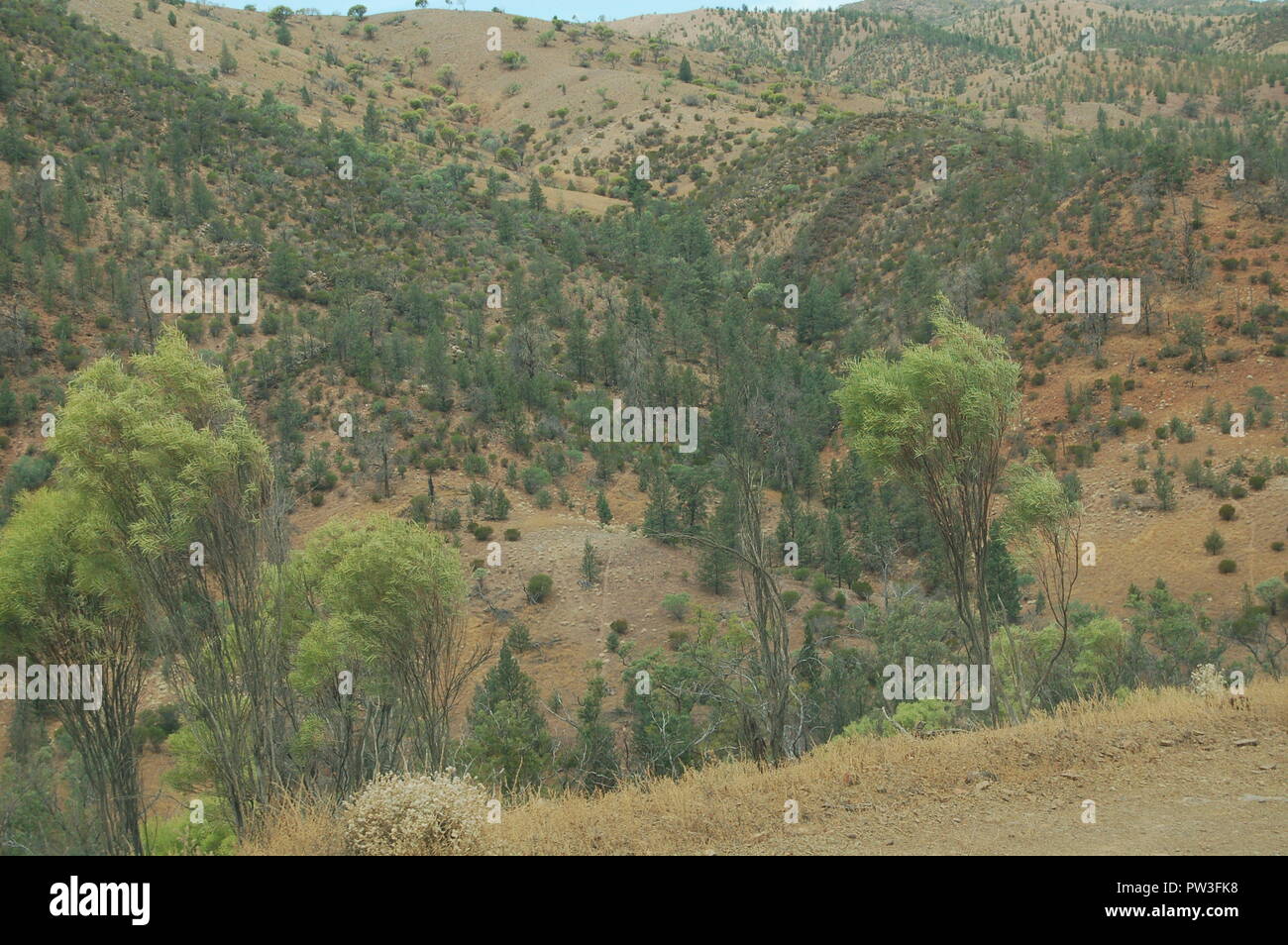 Flinders Ranges South Australia Stock Photo - Alamy