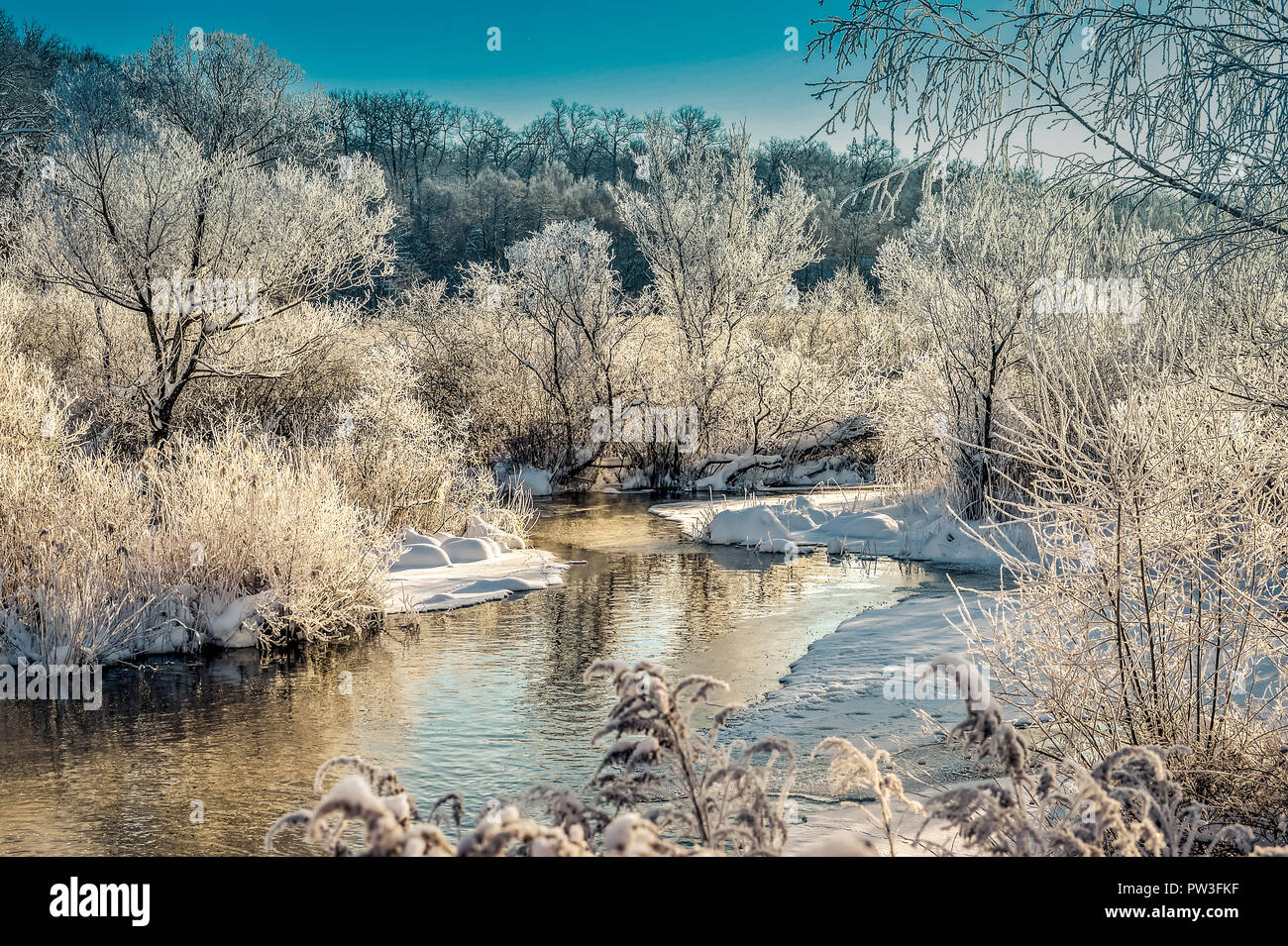 Winter sunny landscape with river and forest Stock Photo - Alamy