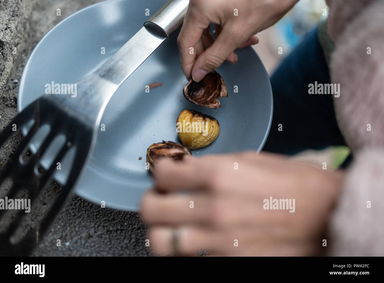 Opening shell hi-res stock photography and images - Alamy
