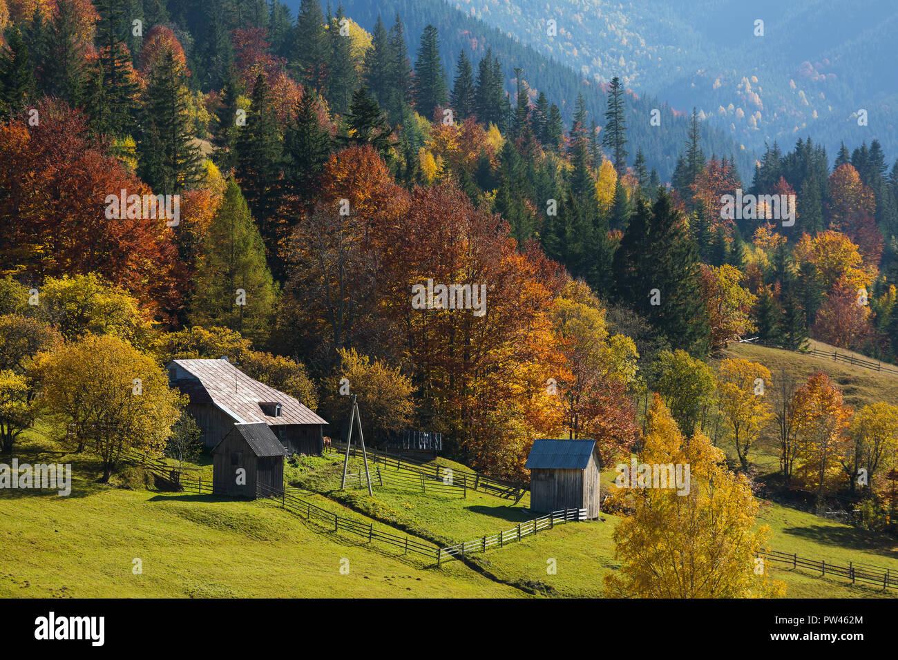 Colorful autumn landscape in the mountain village. Foggy morning in the ...