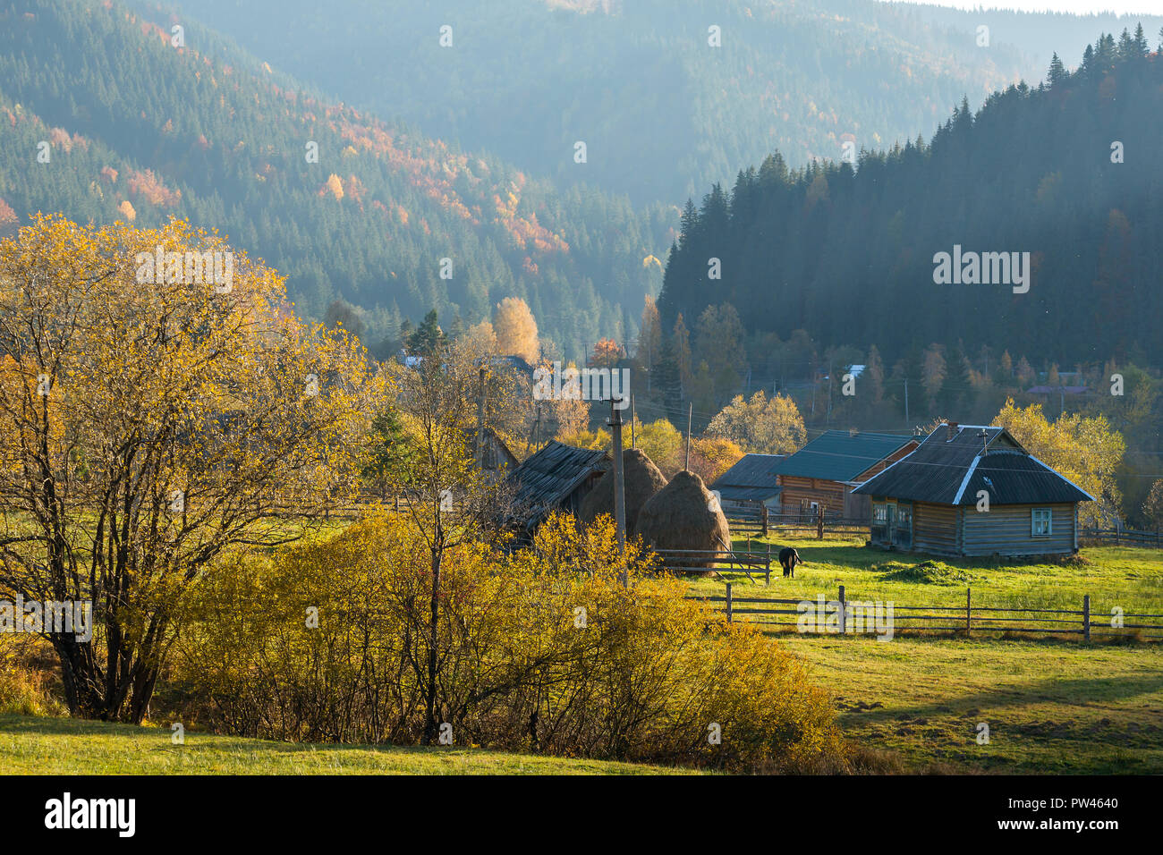 Colorful autumn landscape in the mountain village. Foggy morning in the ...