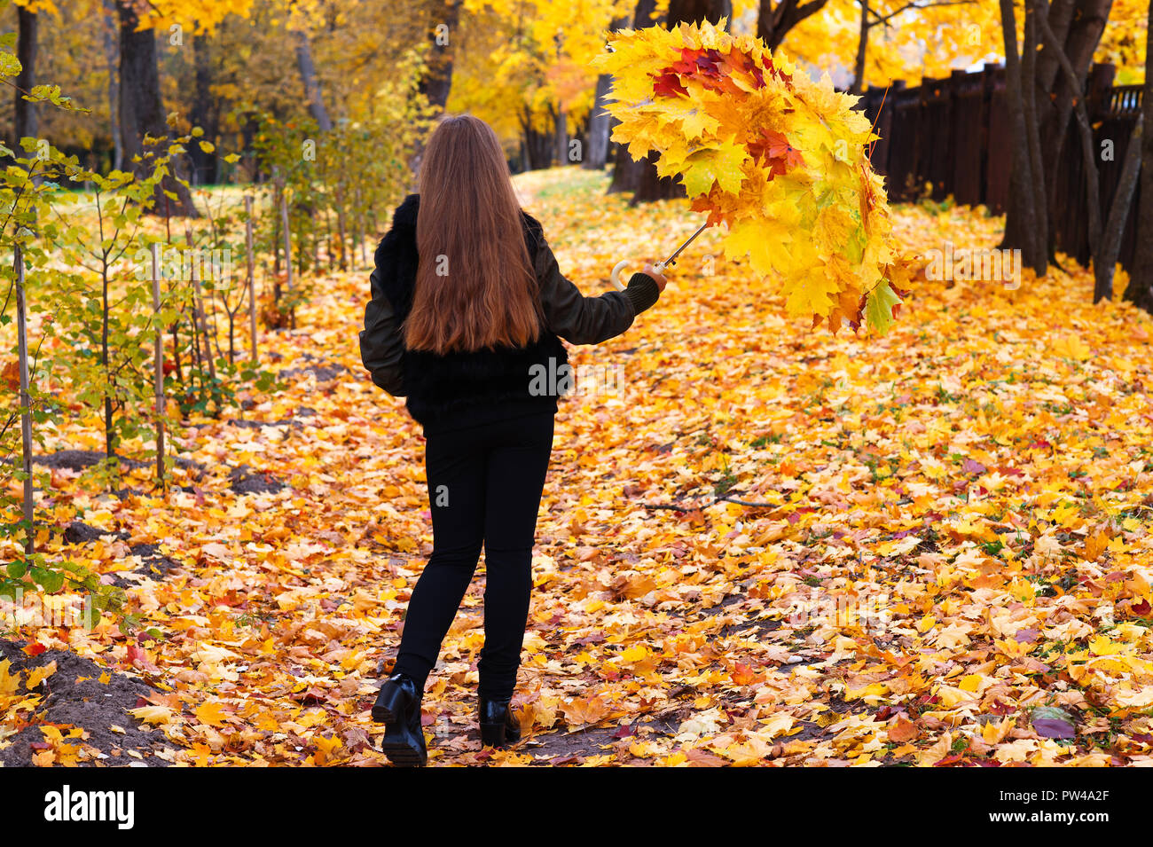 beautiful girl walking in park with umbrella of autumn leaves Stock ...