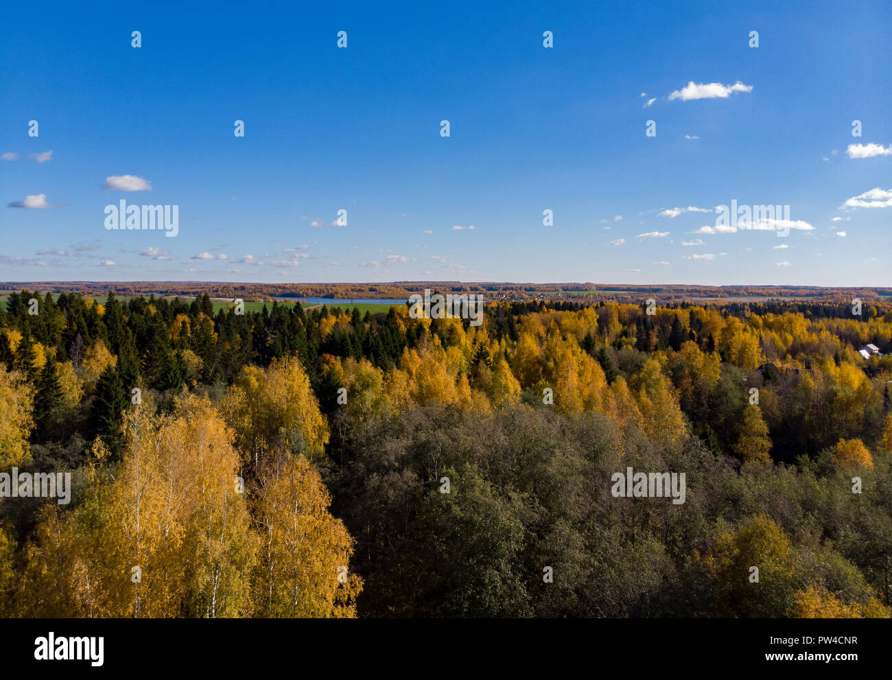 Aerial view thick golden forest hi-res stock photography and images - Alamy