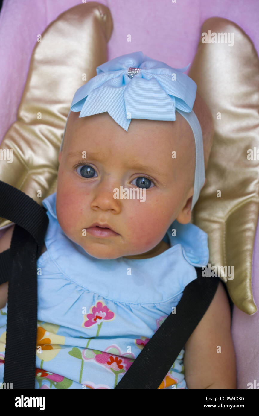6 month old little angel. Stock Photo