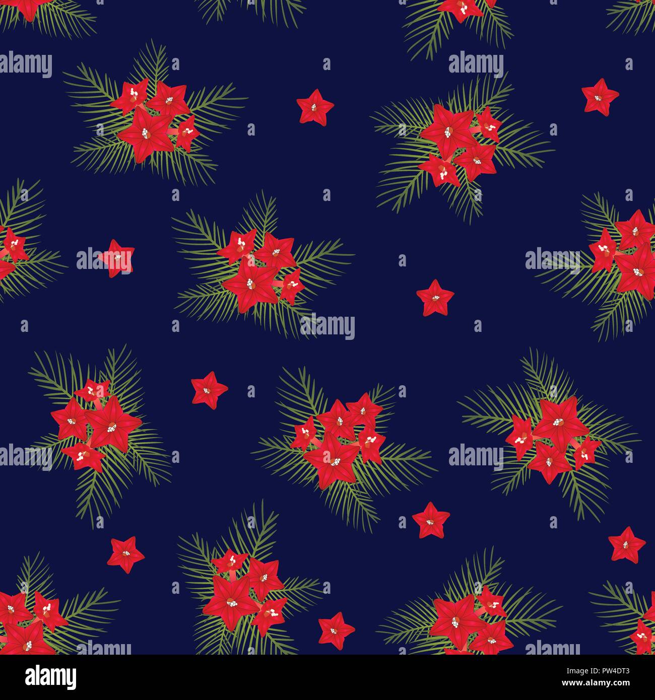 Cypress vine Flower on Christmas Blue Background. Vector Illustration. Stock Vector
