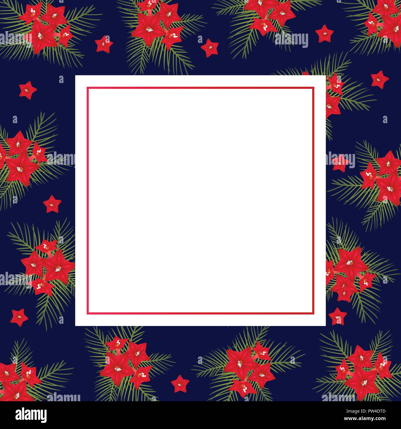 Cypress vine Flower on Christmas Blue Banner Card. Vector Illustration. Stock Vector