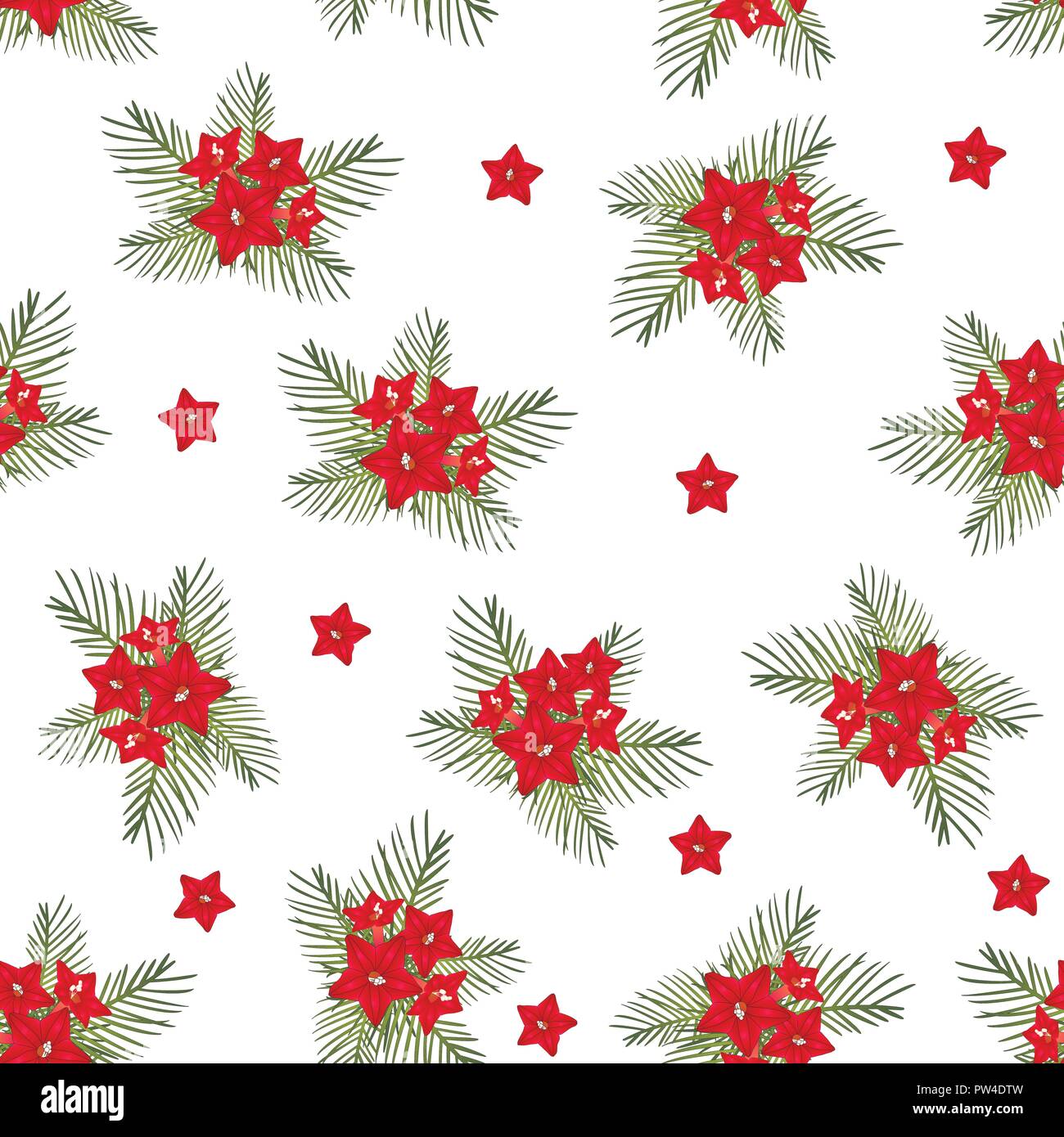Cypress vine Flower on Christmas White Background. Vector Illustration. Stock Vector