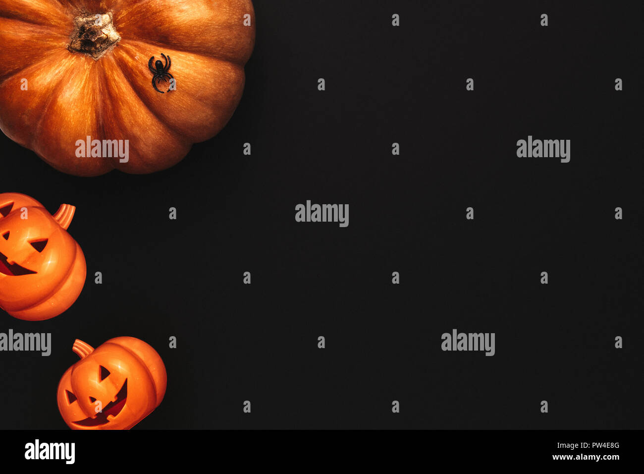 Halloween flat lay design with space for your greetings. Pumpkin heads with spider on black background. Stock Photo