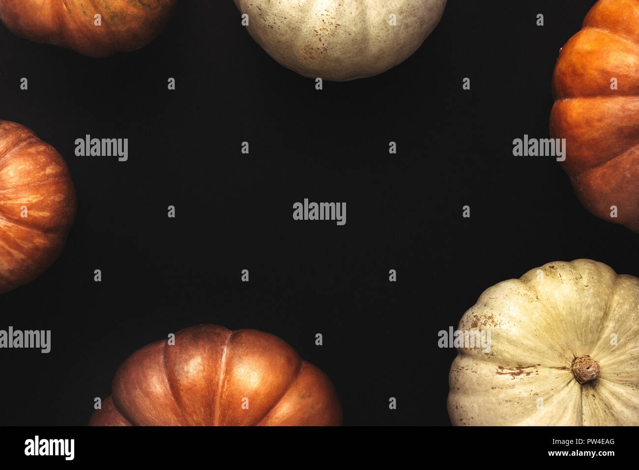 Autumn frame of orange and white pumpkins on black background. Top view ...