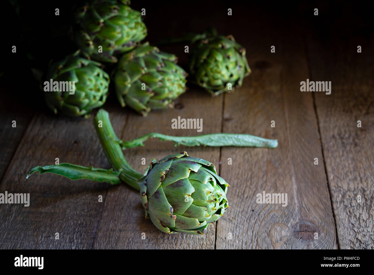 Freshly picked whole globe artichokes. Stock Photo