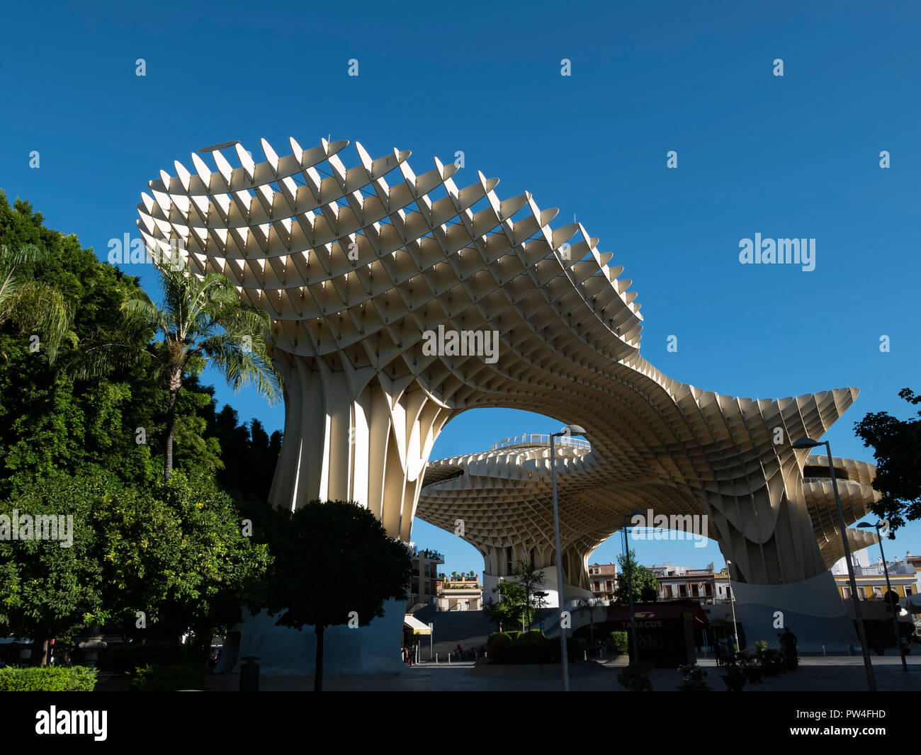 The Metropol Parasol, (Las Setas de la Encarnación) Plaza de La Encarnación, Seville, Andalusia, Spain. Stock Photo