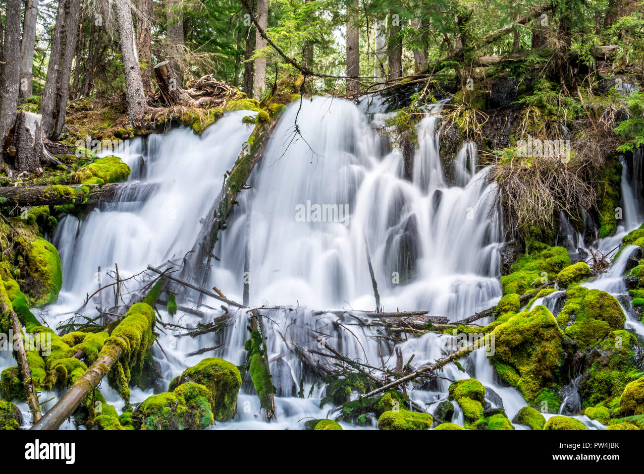 Clearwater Falls in Umpqua National Forest in Oregon Stock Photo