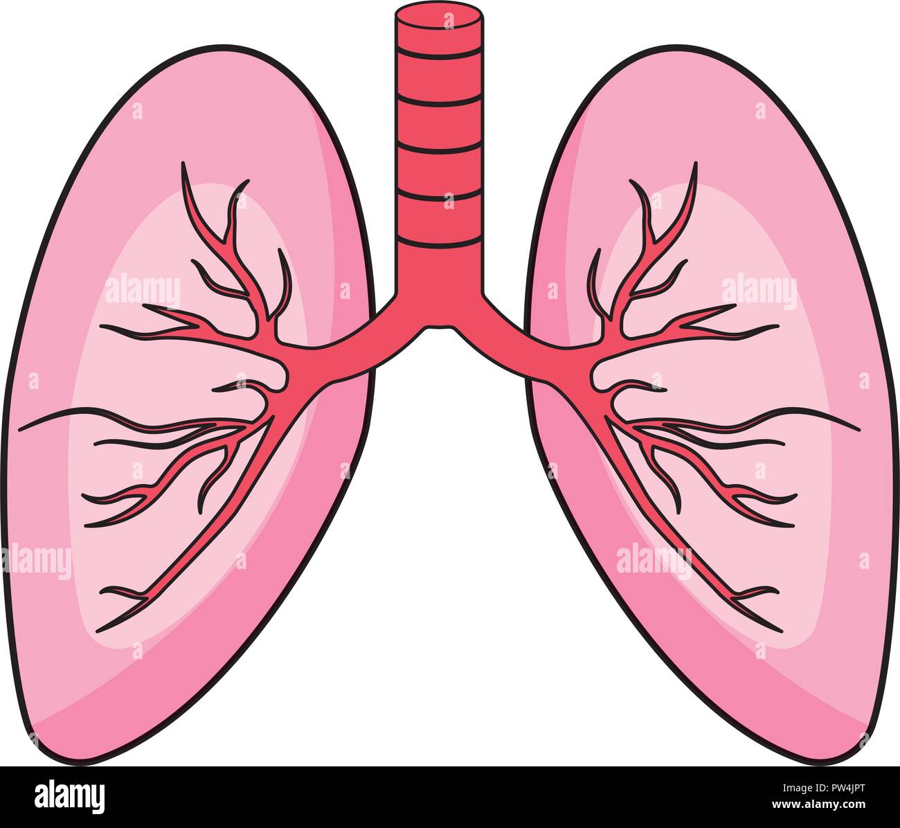 Human lungs symbol Stock Vector Image & Art Alamy