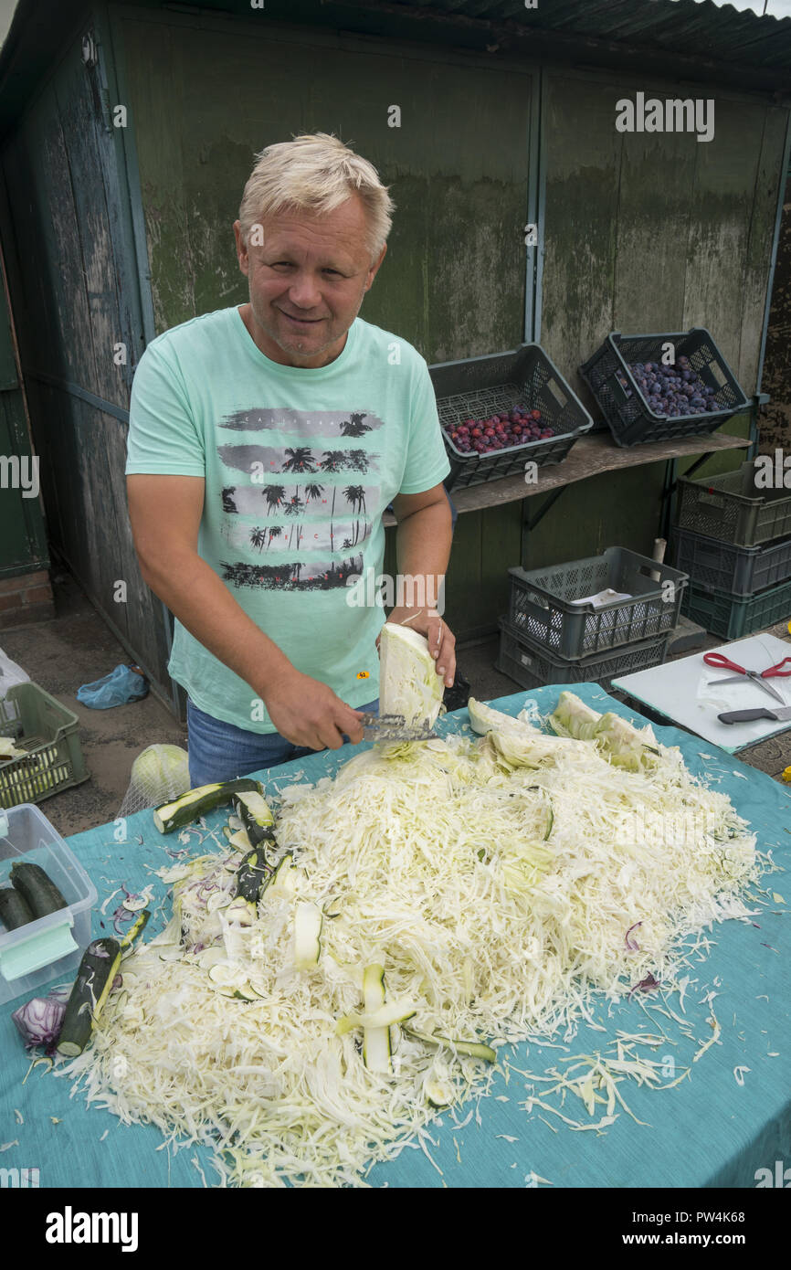 https://c8.alamy.com/comp/PW4K68/man-demonstrates-a-special-blade-for-shredding-cabbage-to-make-coleslaw-and-other-cabbage-salads-at-a-farmers-market-in-zielona-gora-poland-PW4K68.jpg