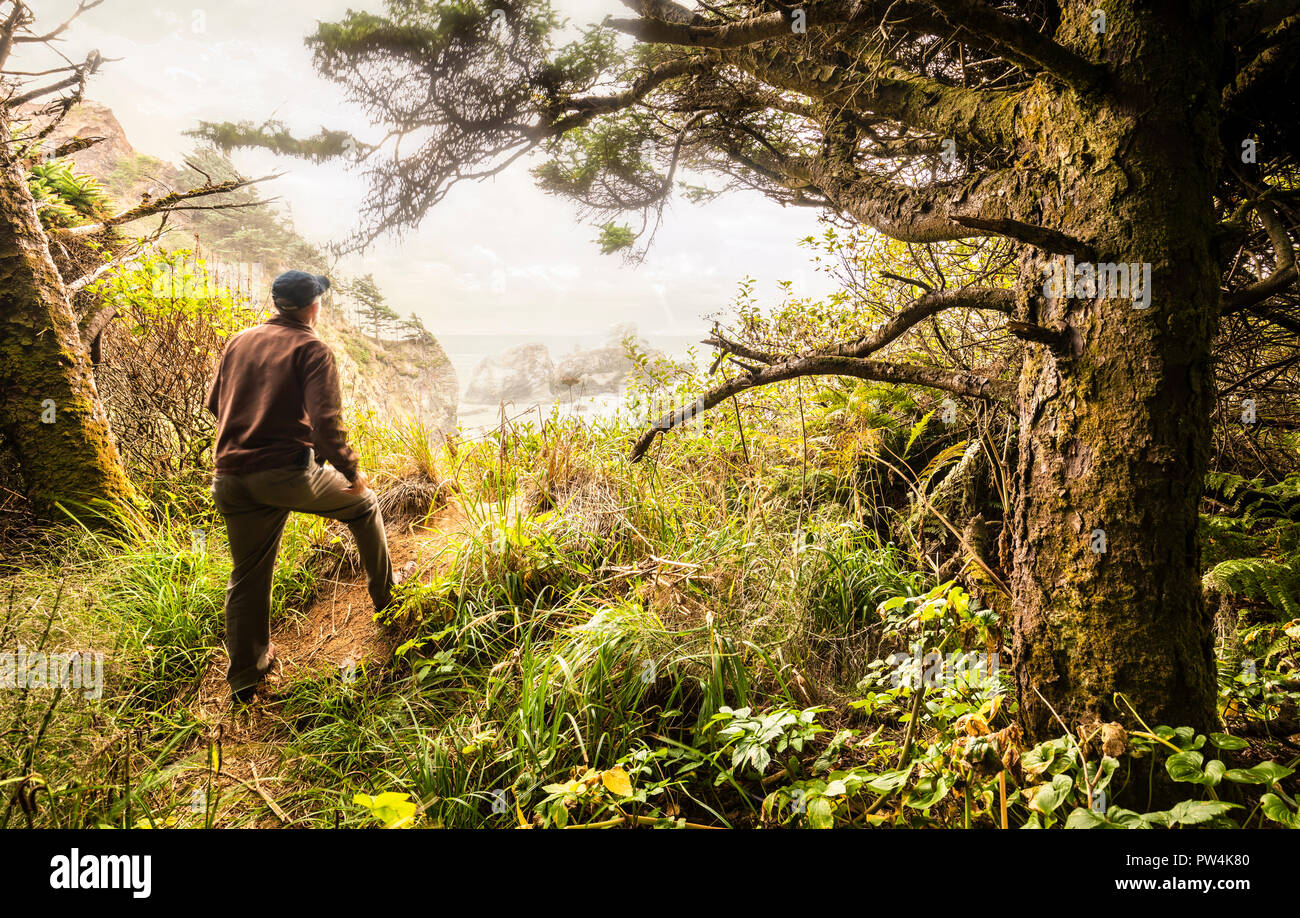 Hiker comes to an opening in the forest overlooking the ocean  in Ecola State Park, Oregon, USA. Stock Photo