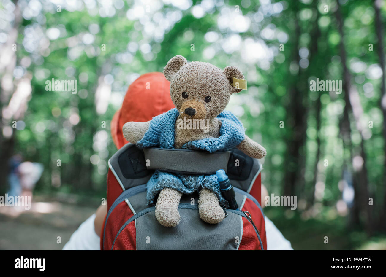 Bear wearing backpack sales
